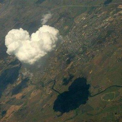 Hearts are everywhere in nature <3