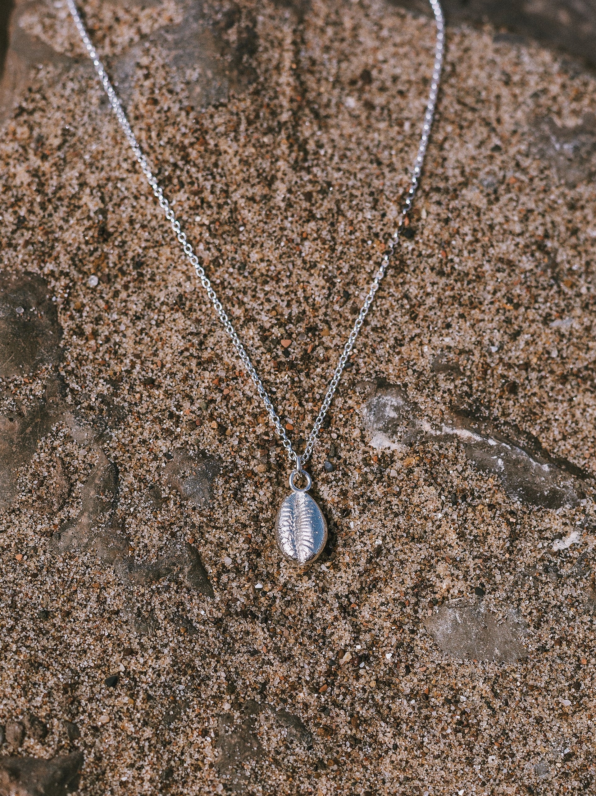 C -ET- C Large Seashell Necklace #3