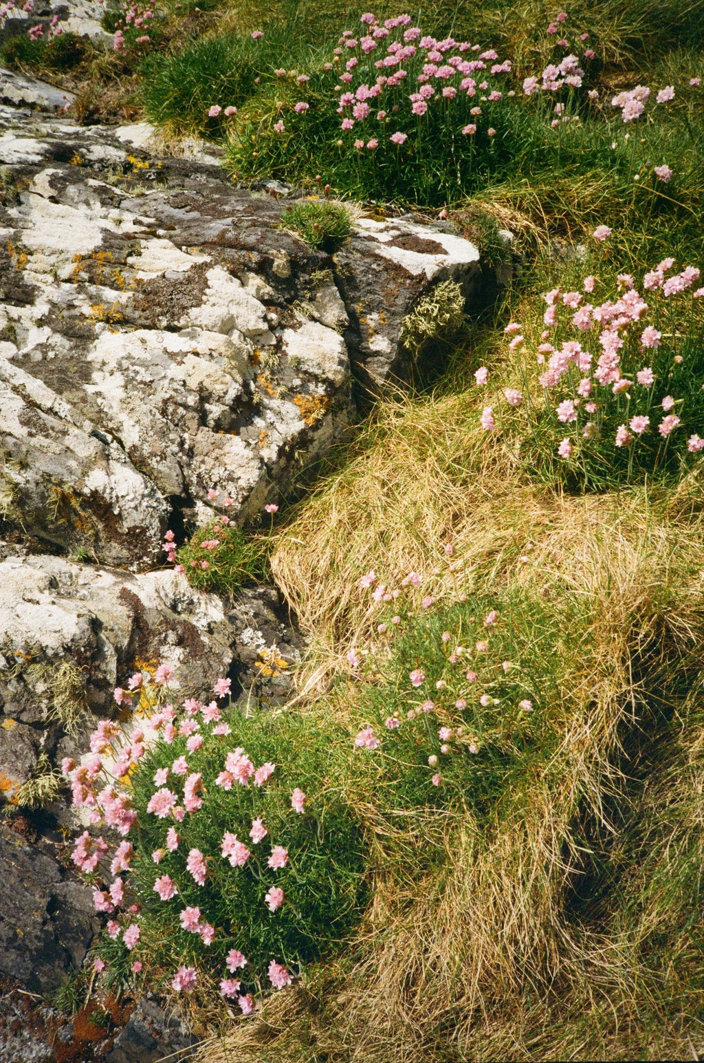 C -ET- C Tonna Chladaich Slide