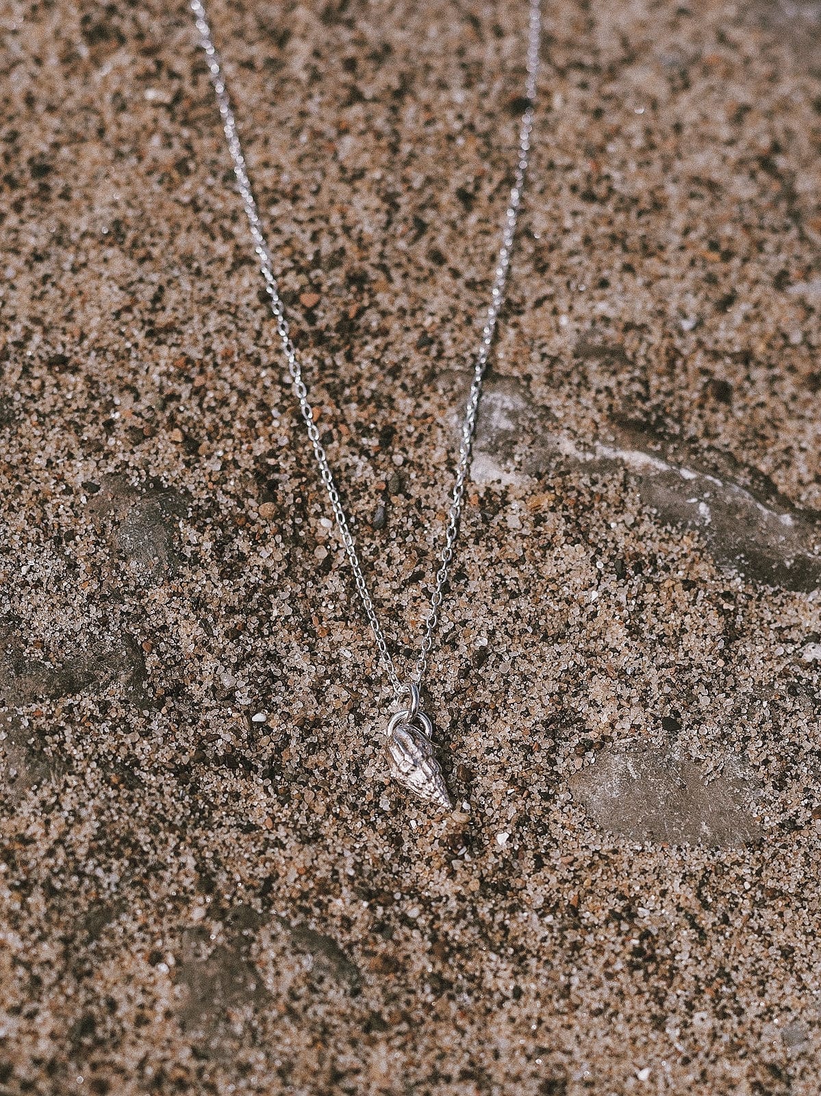 Emily Georgina Jones Jewellery Small Seashell Necklace #1