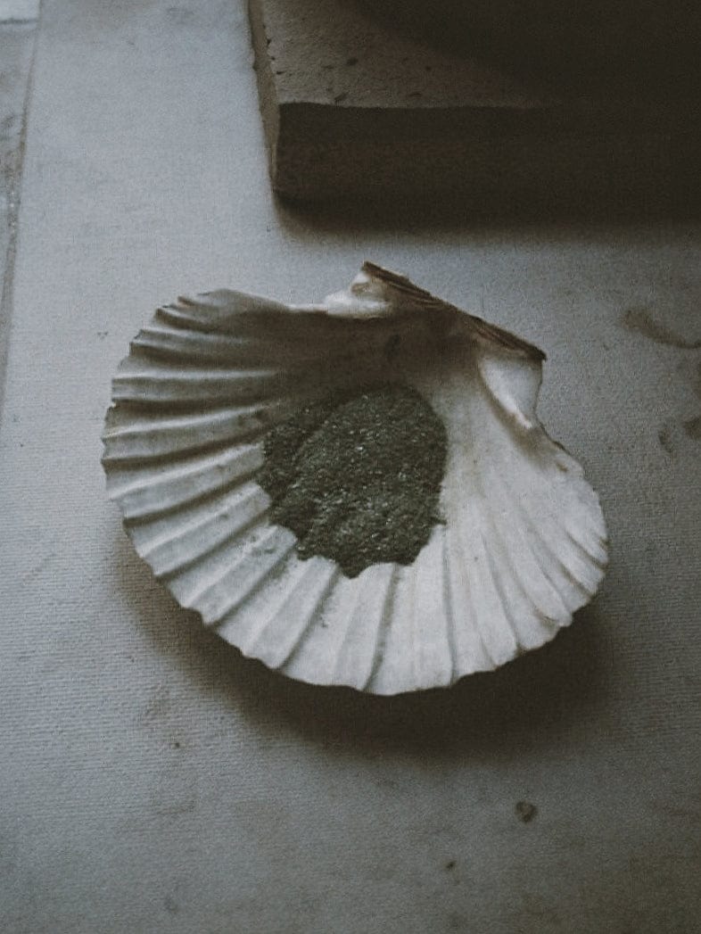 Emily Georgina Jones Jewellery Small Seashell Necklace #1